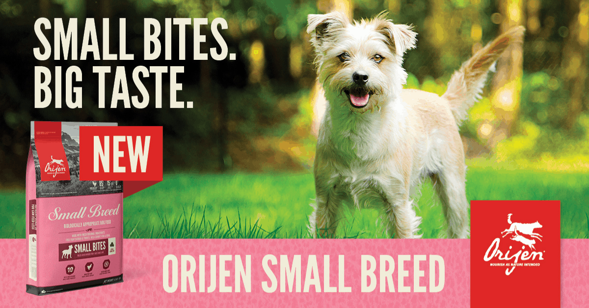 ORIJEN LAUNCHES SMALL BREED DOG FOOD