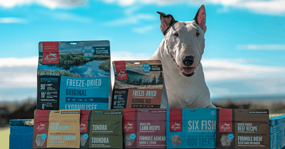 ORIJEN Online Fun Pet Show