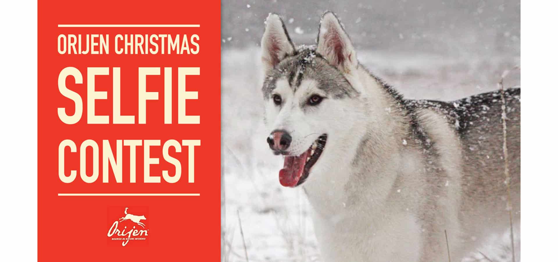 ORIJEN Christmas selfie competition